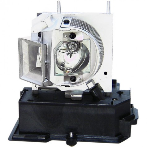 Acer EC.J8700.001 Projector Lamp