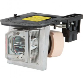 Acer EC.JBU00.001 Projector Lamp