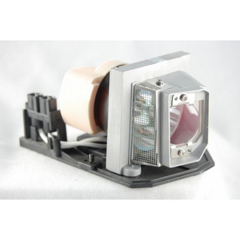 ACER EC.J6300.001 Projector Lamp