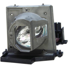 Acer EC.J3901.001 Projector Lamp