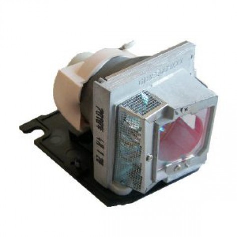 Acer EC.J9900.001 Projector Lamp